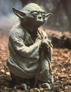 Yoda Yoda