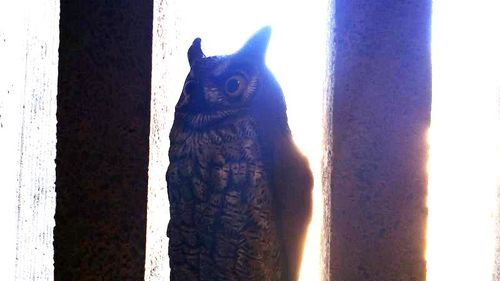 6a00d83451707369e201bb08668850970d-800wi 6a00d83451707369e201bb08668850970d-800wi