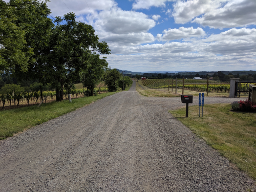 IMG_20190608_152041 IMG_20190608_152041