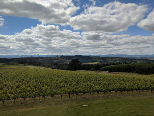 IMG_20190608_151223 IMG_20190608_151223