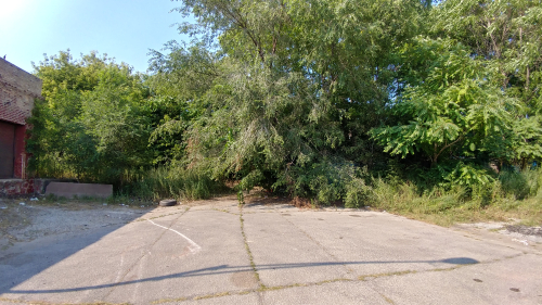 20180805_160339_HDR 20180805_160339_HDR