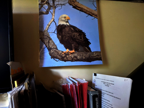 IMG_20200522_091928 IMG_20200522_091928