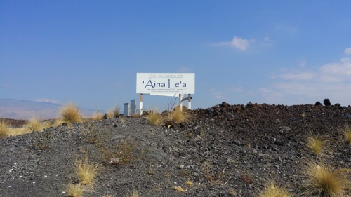 6a00d83451707369e20240a51cc266200b-800wi 6a00d83451707369e20240a51cc266200b-800wi