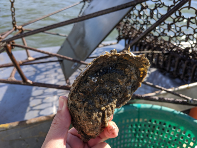 IMG_20191108_121950_1 IMG_20191108_121950_1