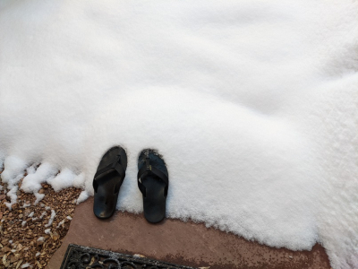 PXL_20220323_145435898 PXL_20220323_145435898